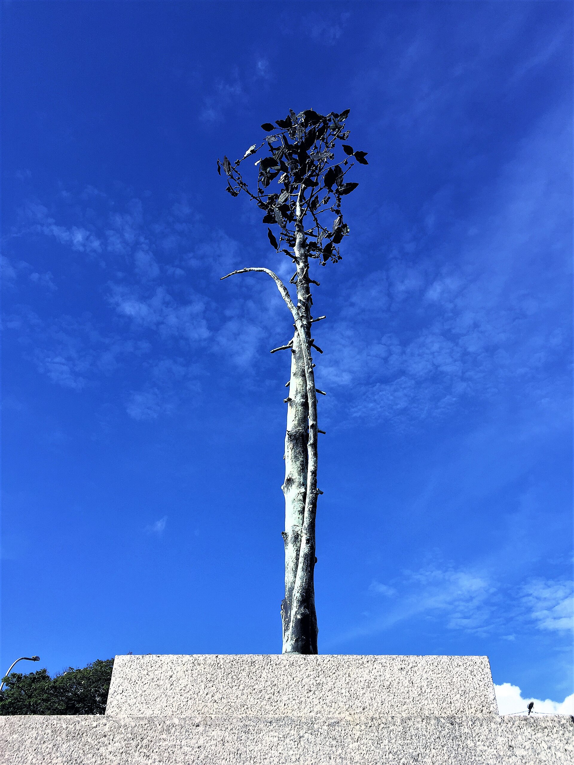Imagem de referência de Homenagem ao Cafeeiro, descrito nos dados abertos como monumento localizado no Brasil