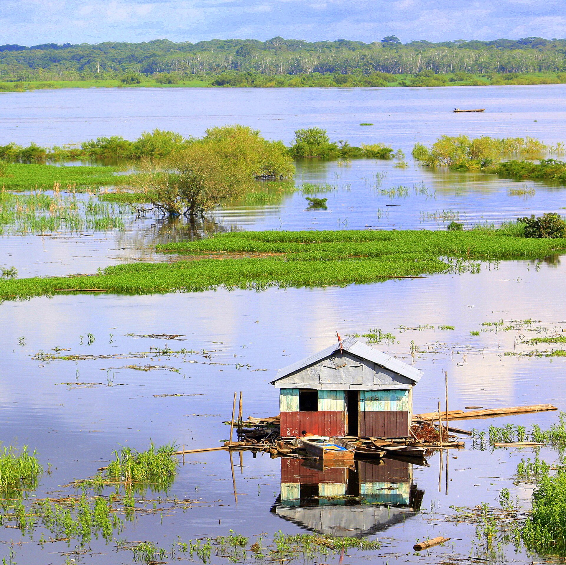 Imagem de referência relacionada a Iquitos, item descrito como registro de referência sobre Iquitos, organizado a partir de dados estruturados abertos