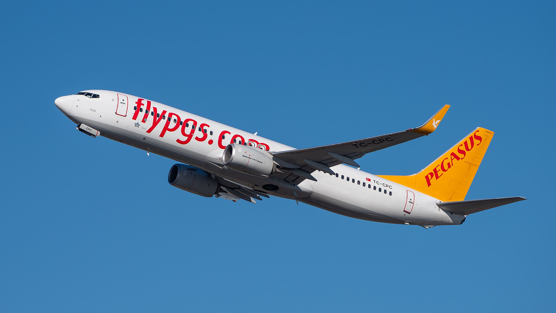 Imagem de referência relacionada a Pegasus Airlines, item descrito como registro de referência sobre Pegasus Airlines, organizado a partir de dados estruturados abertos