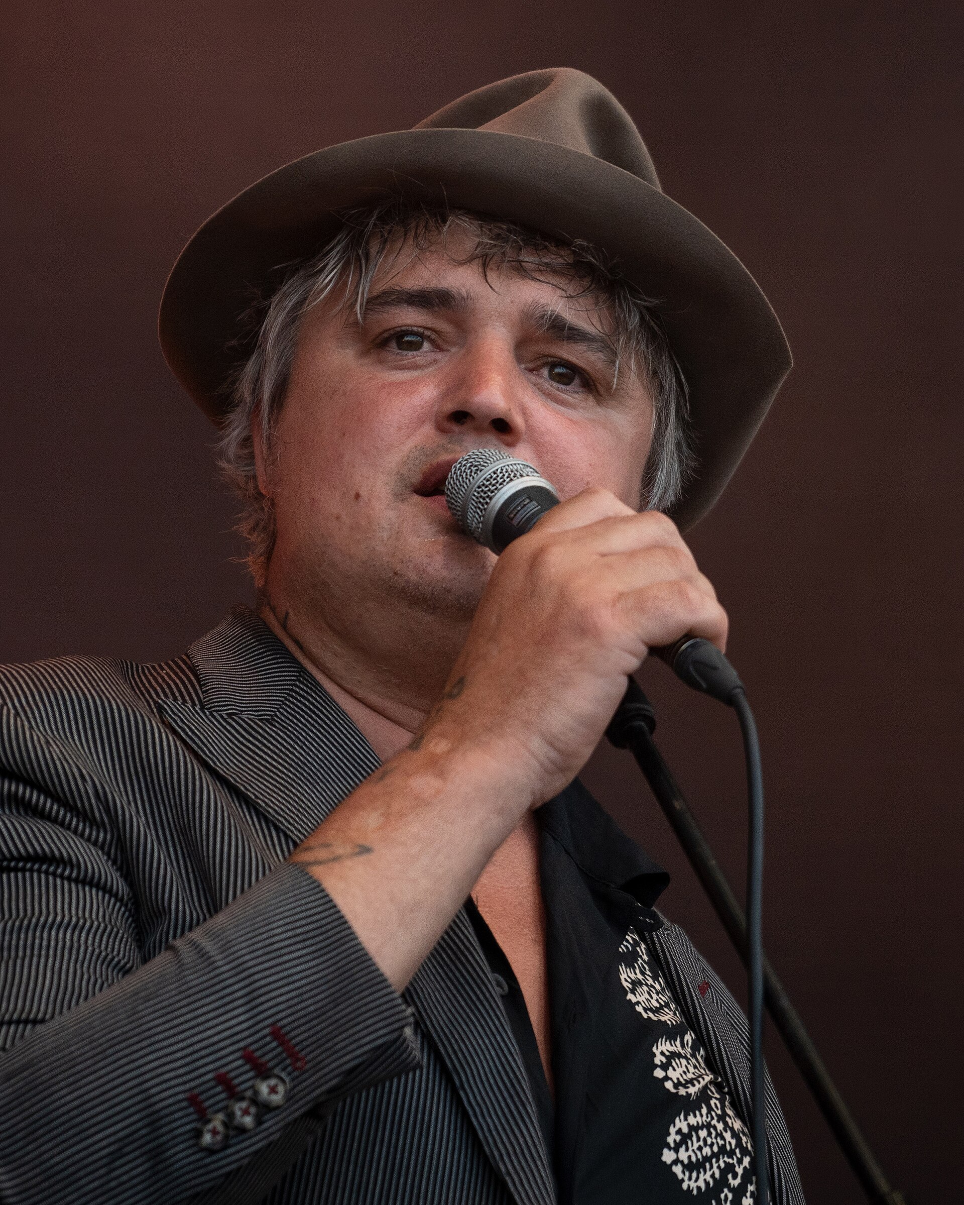 Imagem de referência relacionada a Pete Doherty, item descrito como músico e ator britânico