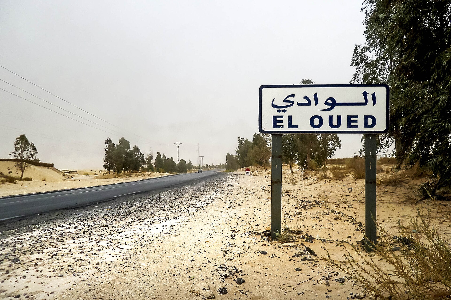 Imagem de referência relacionada a El Oued, item descrito como registro de referência sobre El Oued, organizado a partir de dados estruturados abertos