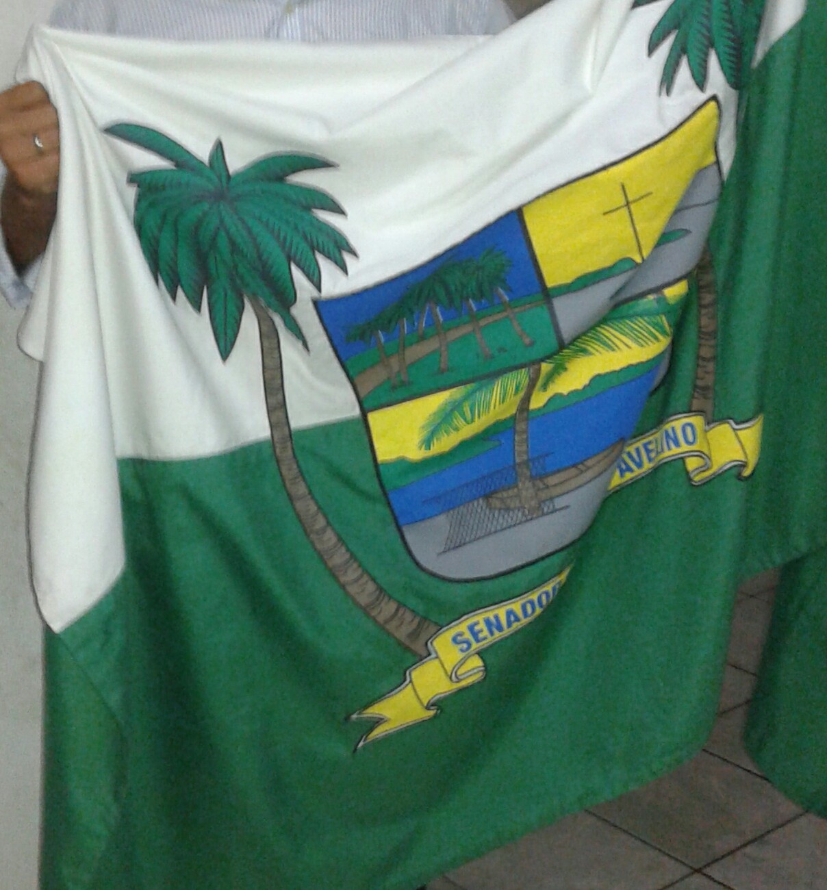 Imagem de referência de Senador Georgino Avelino, descrito nos dados abertos como município brasileiro do estado do Rio Grande do Norte