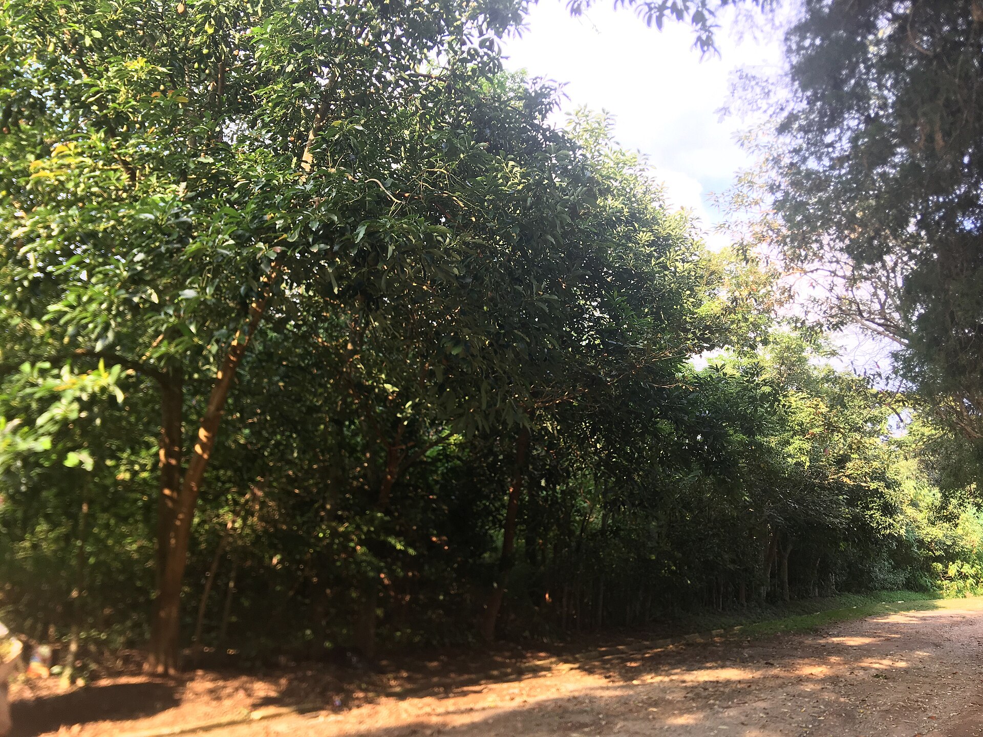 Imagem de referência de Vargem Grande Paulista, descrito nos dados abertos como município do estado de São Paulo