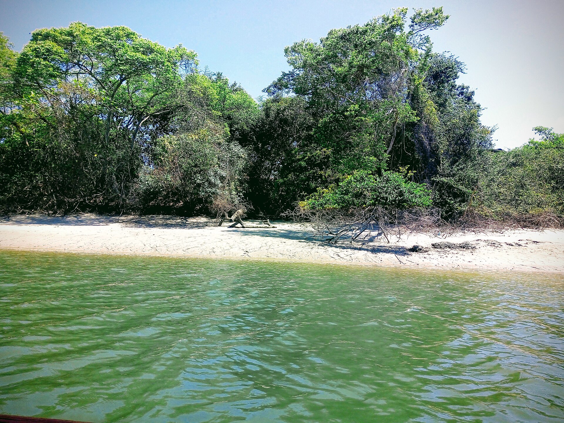 Imagem de referência de Área de Proteção Ambiental Barra do Rio Mamanguape, descrito nos dados abertos como unidade de conservação federal brasileira