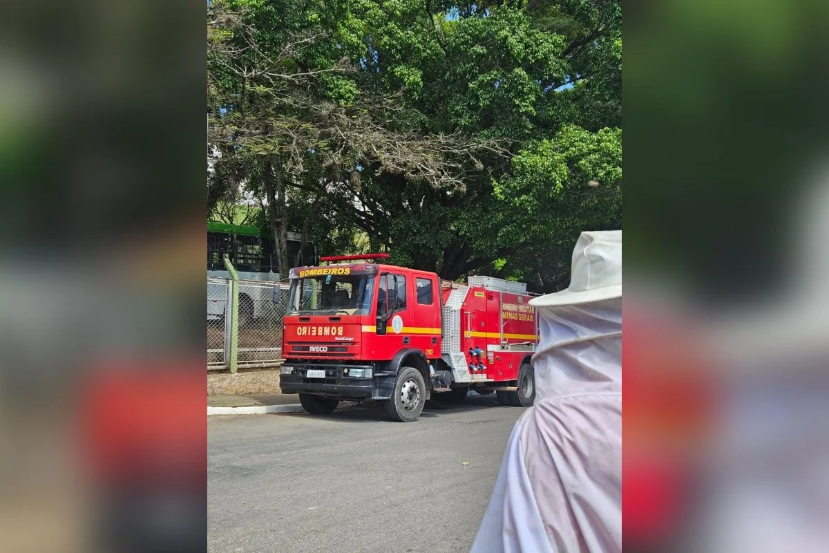 Corpo de bombeiros e agente com traje de apicultor