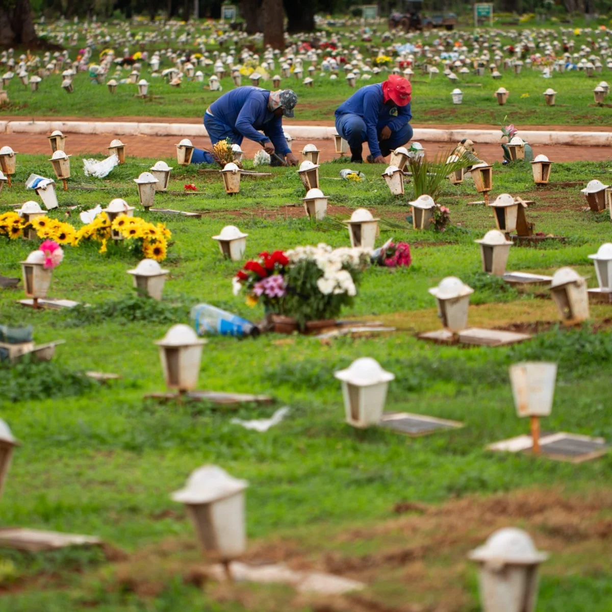 Cemitério de Planaltina terá exumação de 209 corpos; veja lista