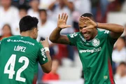 O Palmeiras está classificado para a semifinal da Libertadores