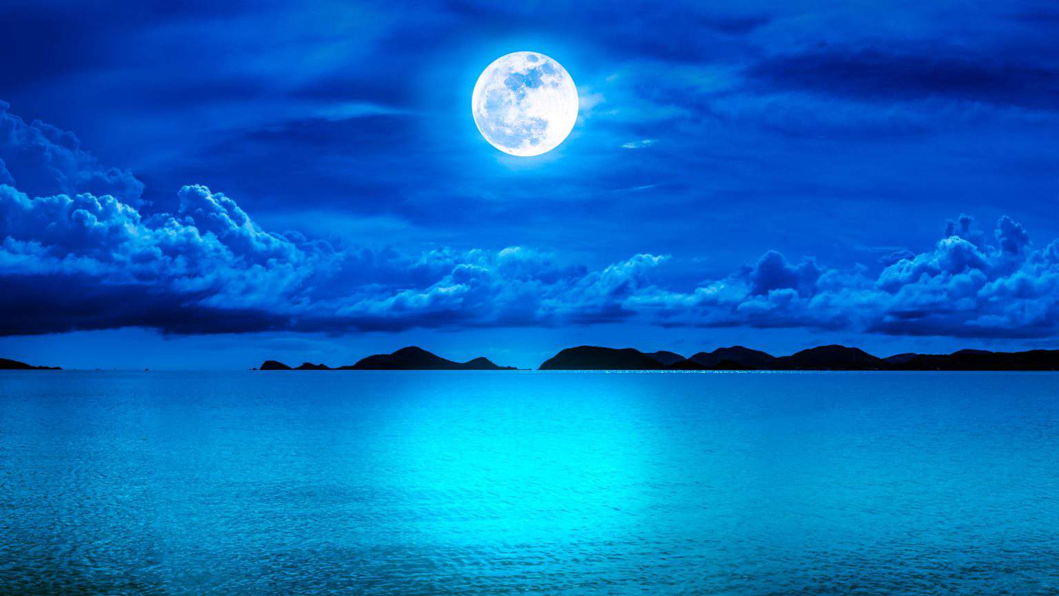 Lua cheia: esqueça o lobisomem e cuidado com os tubarões! Perigo aumenta para os banhistas na atual fase lunar?