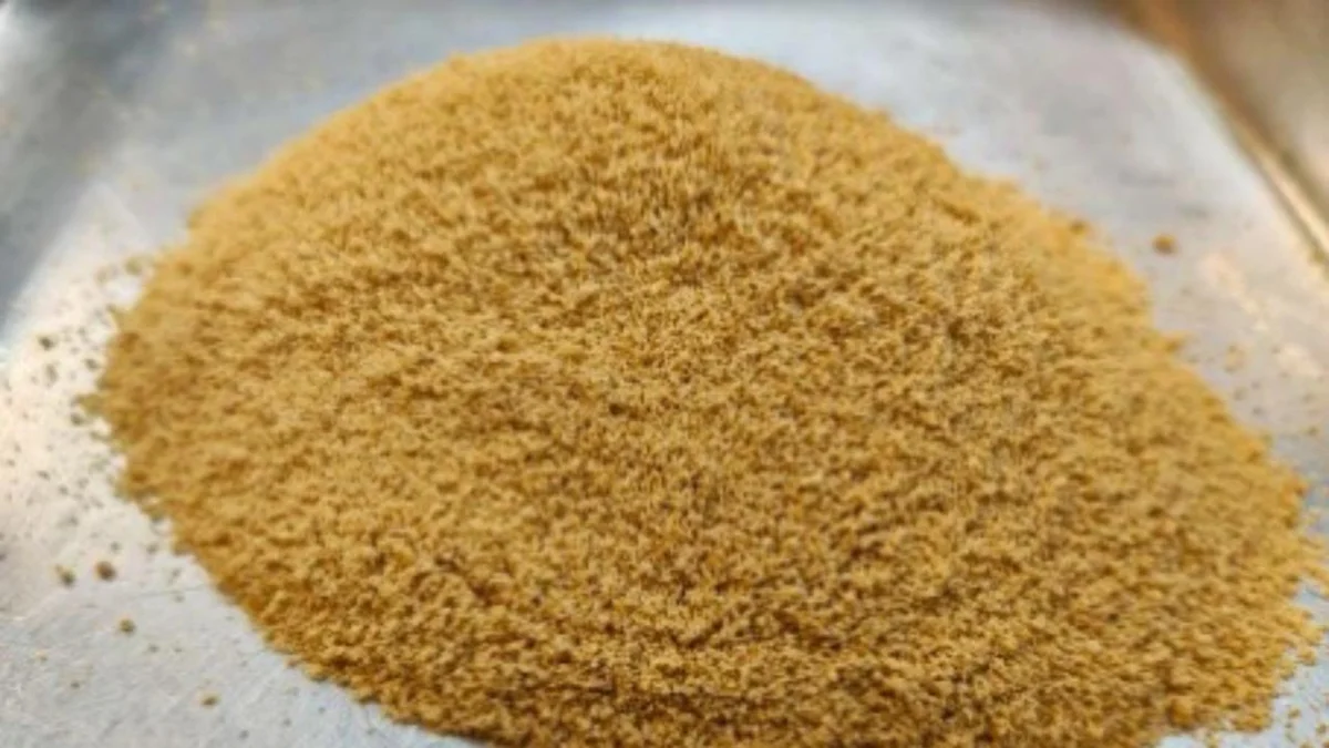 Cientistas brasileiros criam açúcar de cana com absorção mais lenta