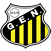 Imagem da matéria: Timão sob pressão: organizadas vão ao CT do Corinthians cobrar elenco