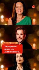 Veja quem é quem em Avenida Brasil 2
