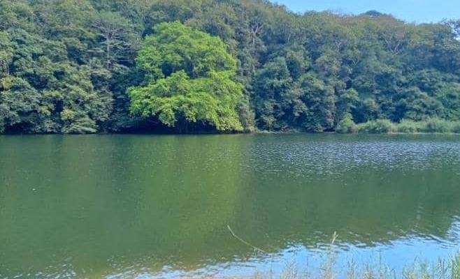 F-KHK encerra Programa Pronto para Desastre em Babulu