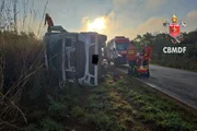 Caminhão com bovinos tomba perto de Planaltina