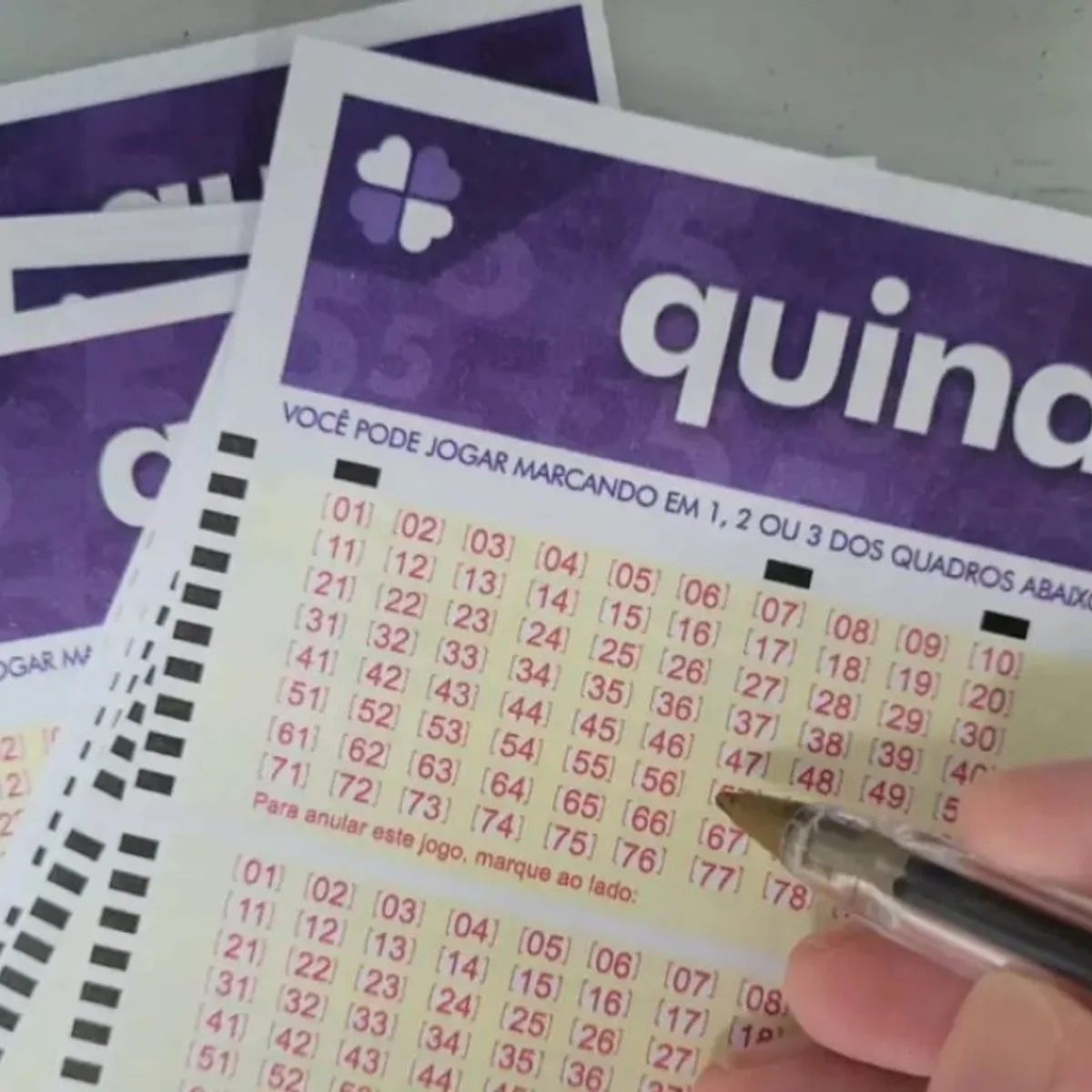 Quina 7149 acumula, e prêmio atinge R$ 58,5 milhões. Confira resultado