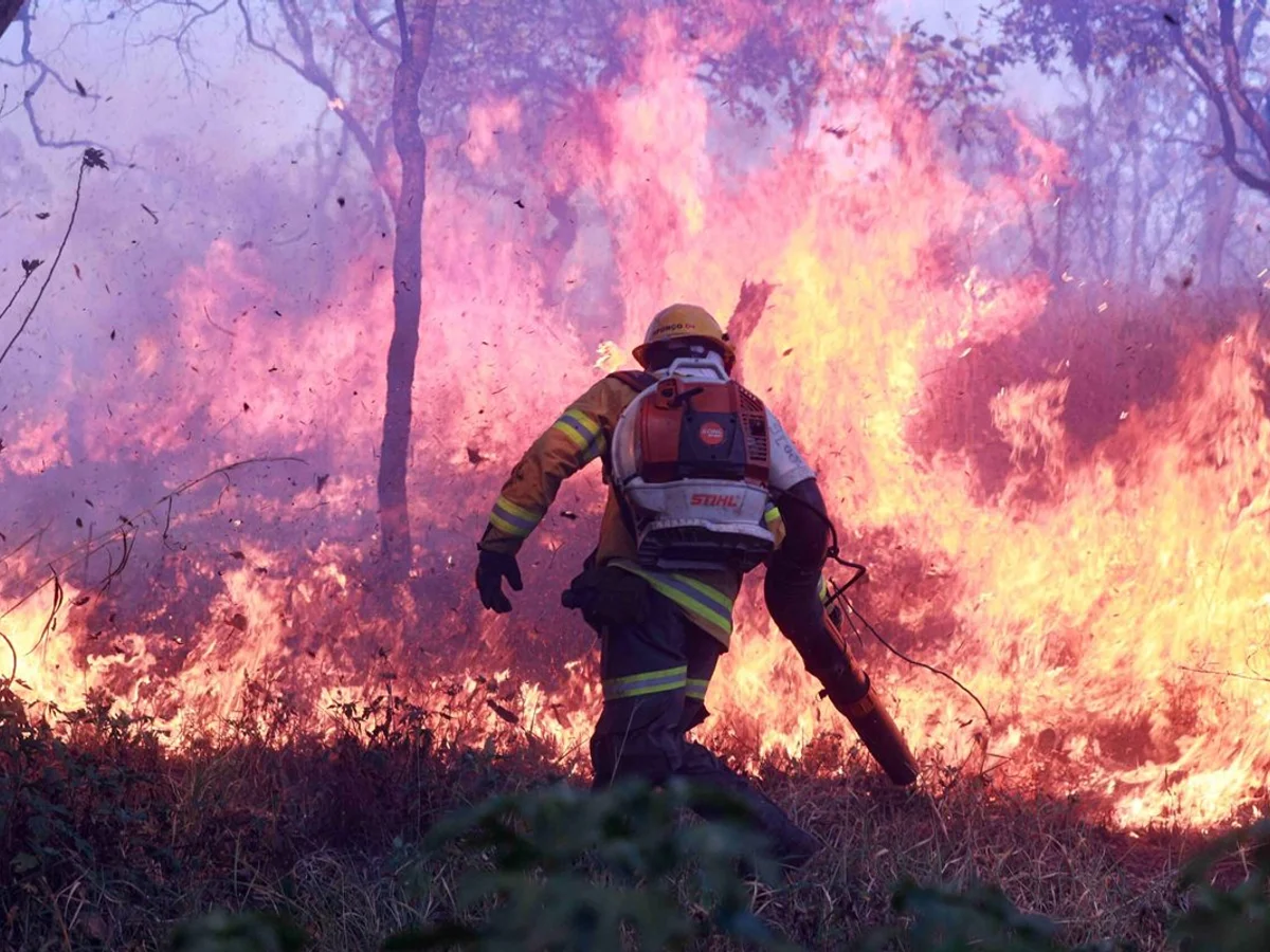GDF proíbe uso de fogo em vegetação pelo alto risco de incêndios florestais