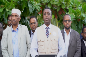 Somali electoral commission announces Hirshabelle assembly and local council election results